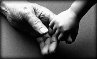 Adult holding a childs hand